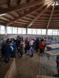 Kleintiermarkt beim Hauserwirt 03. April 2022 (18).jpg
