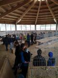 Kleintiermarkt beim Hauserwirt 03. April 2022 (16).jpg
